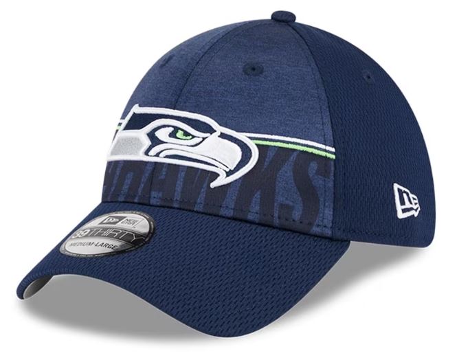 Seattle Seahawks 39THIRTY Training Camp 2023 Stretch Fit Hat