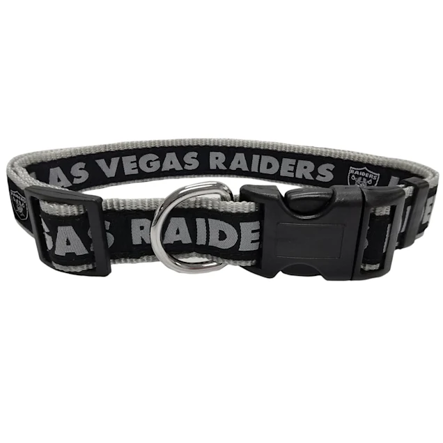 Las Vegas Raiders Collar