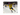 Ivan Barbashev ARE YOU NOT ENTERTAINED 16x20 Printed Photo