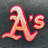 Media 5