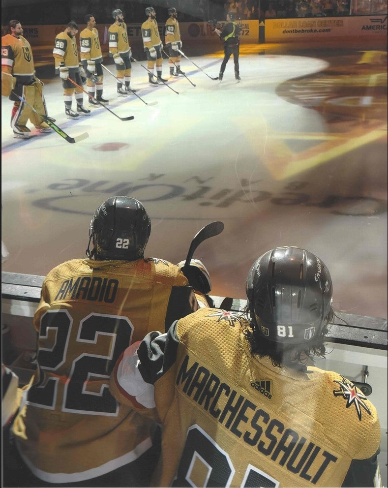 Vegas Golden Knights ADMIRE THE LINE UP 8x10 Photo