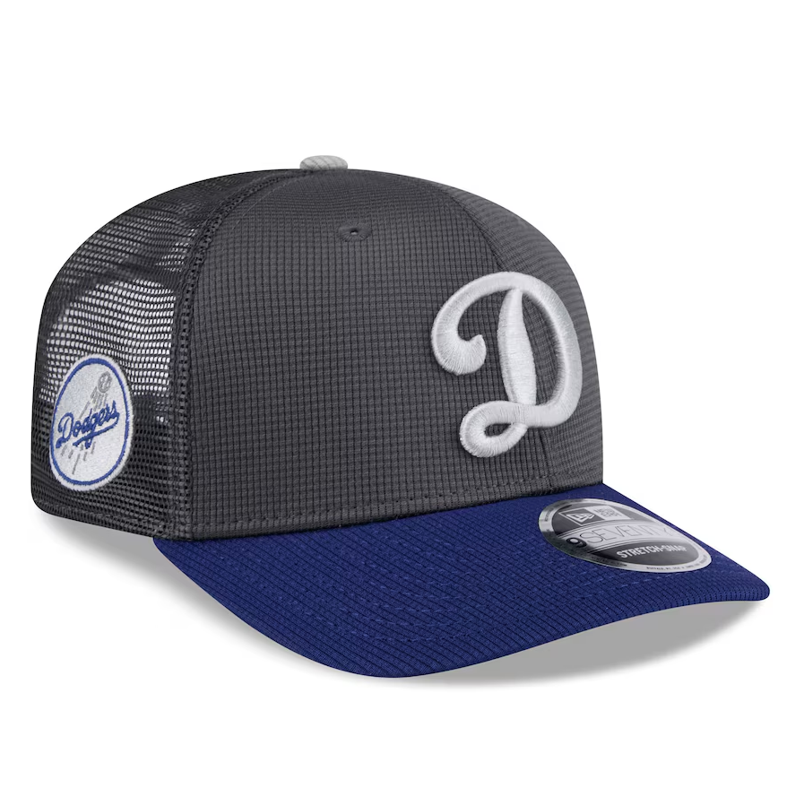 Los Angeles Dodgers 2025 Batting Practice New Era 9SEVENTY Stretch-Snap Trucker Hat - Gray/Royal