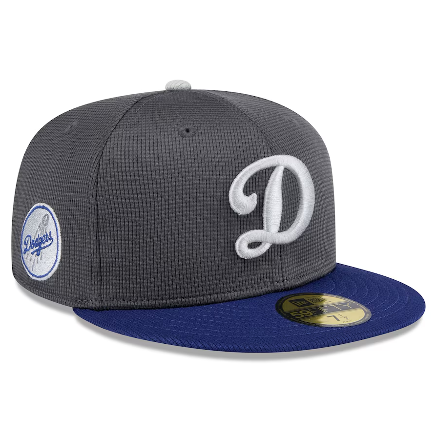 Los Angeles Dodgers 2025 Batting Practice New Era 59FIFTY Fitted Hat - Gray/Royal