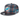 Miami Dolphins 2024 Sideline Statement Gray 9FIFTY Snapback Hat