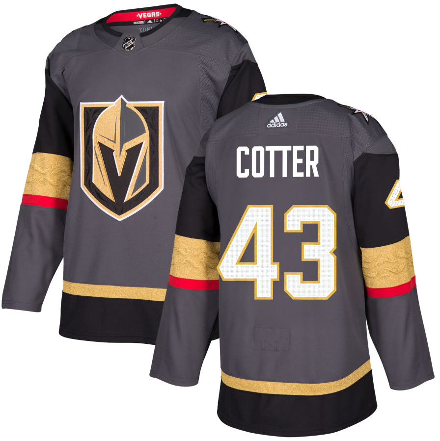 Vegas Golden Knights Paul Cotter #43 Men's Adidas Primegreen Alternate Jersey - Gray (FINAL SALE)