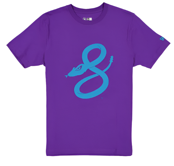 Arizona Diamondbacks Men's 2025 City Connect New Era T-Shirt - Purple ***