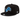 Detroit Lions Basic New Era 9FIFTY Adjustable Snapback Hat - Black