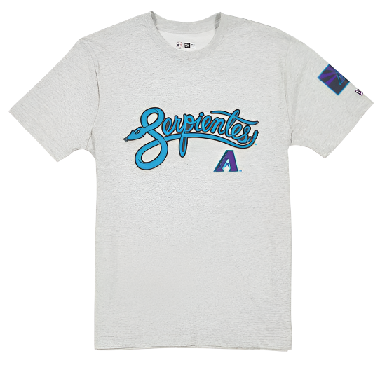Arizona Diamondbacks Men's 2025 City Connect New Era T-Shirt - Gray ***