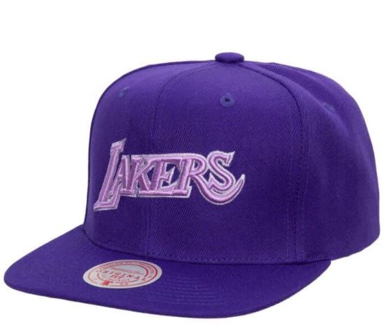 Los Angeles Lakers Monochromatic Purple Adjustable Snapback Hat
